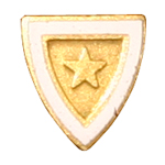 am-pin_a